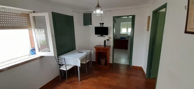 Chambre à louer dans un appartement en colocation à Leiria