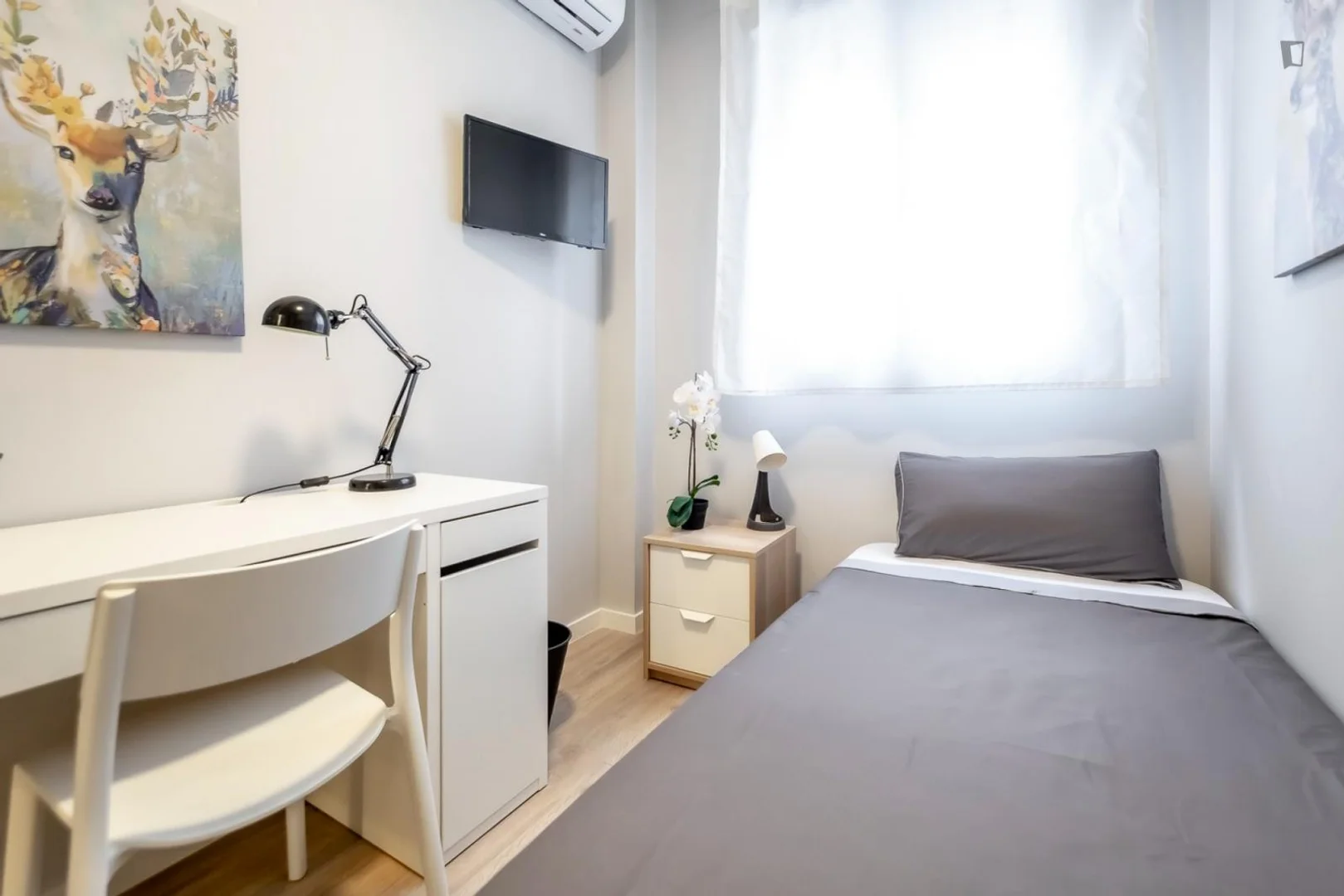 Studentenzimmer in  mit Arbeitsbereich und Gemeinschaftseinrichtungen
