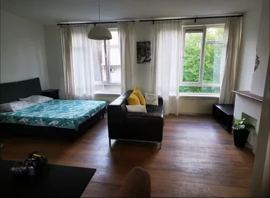Entire apartment at Van Alkemadestraat, Kralingen-Crooswijk, image 1 of 10