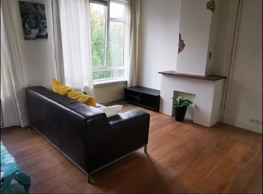 Entire apartment at Van Alkemadestraat, Kralingen-Crooswijk, image 2 of 10