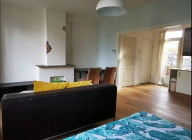 Entire apartment at Van Alkemadestraat, Kralingen-Crooswijk, image 3 of 10