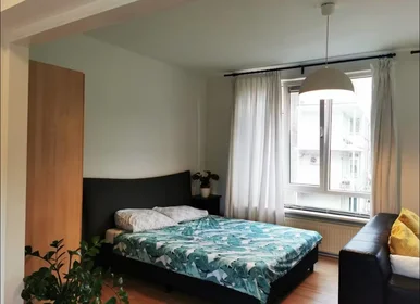Entire apartment at Van Alkemadestraat, Kralingen-Crooswijk, image 4 of 10