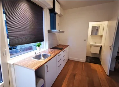 Entire apartment at Van Alkemadestraat, Kralingen-Crooswijk, image 6 of 10