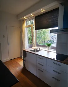 Entire apartment at Van Alkemadestraat, Kralingen-Crooswijk, image 9 of 10