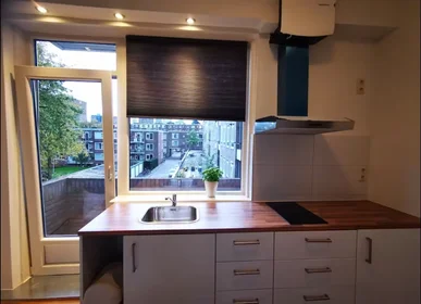 Entire apartment at Van Alkemadestraat, Kralingen-Crooswijk, image 10 of 10