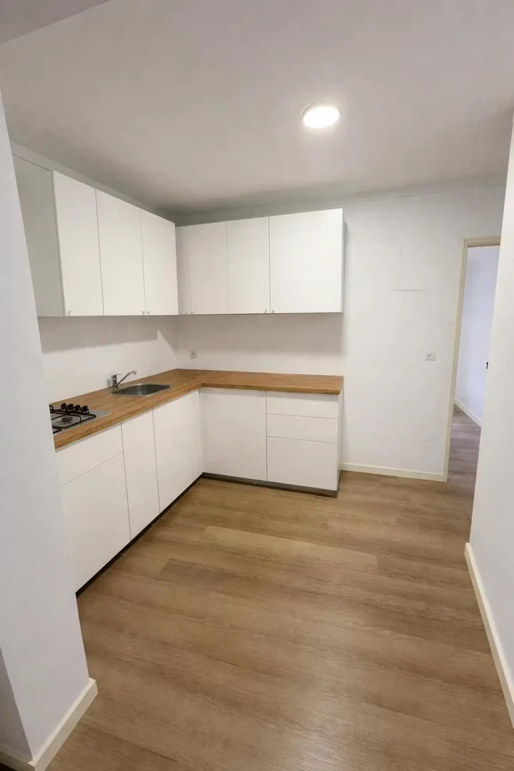 Affordable room for students with ample lighting in 