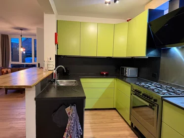 Apartamento inteiro em Jan de Oudestraat, Strijp, imagem 3 de 10