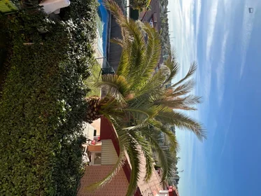 Stanza privata in Calle Guadalhorce, immagine 26 di 26