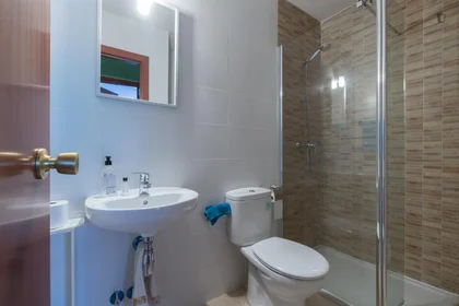 Private room at Calle Nuevo Baztan, image 19 of 40