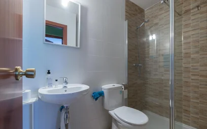 Stanza privata in Calle Nuevo Baztan, immagine 20 di 41
