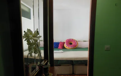 Stanza privata in Calle Nuevo Baztan, immagine 42 di 45