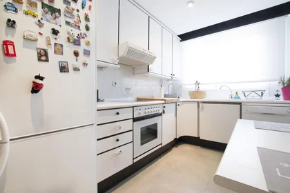 Stanza privata in Calle Pindaro, immagine 12 di 26