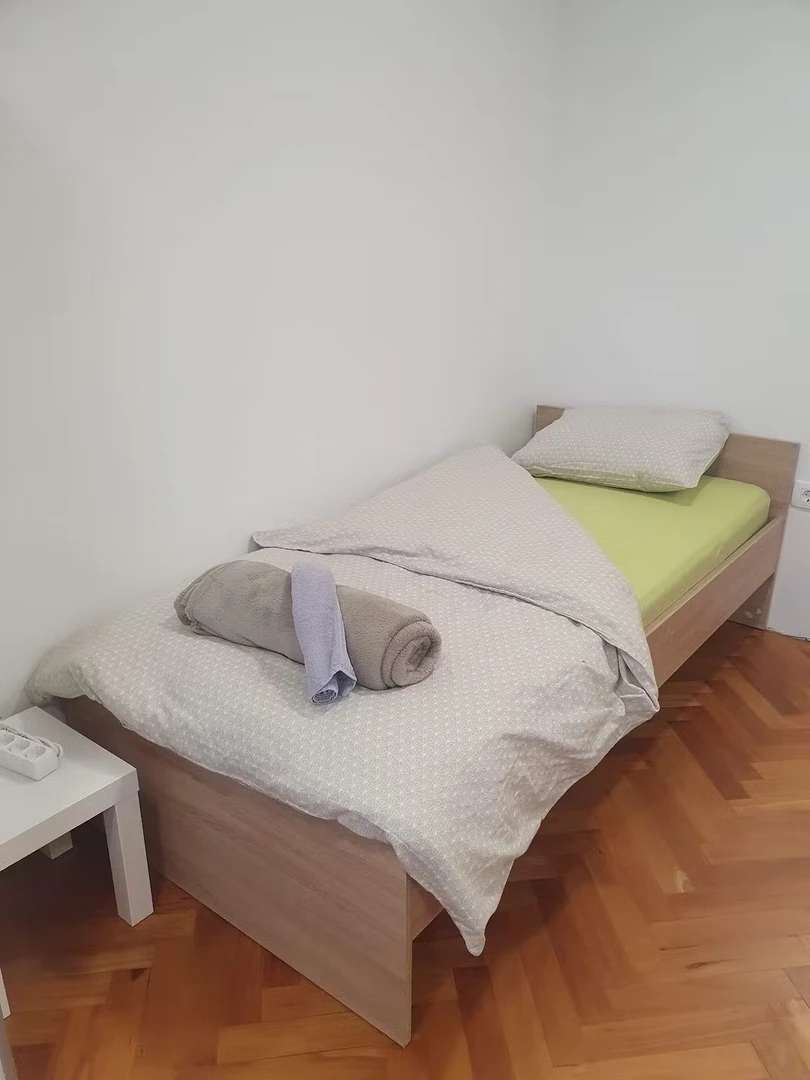 Habitación compartida con otro estudiante en Liubliana
