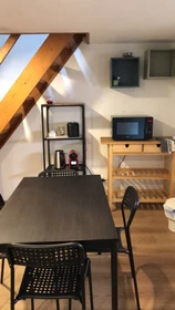 Entire fully furnished flat in Bruxelles/brussels