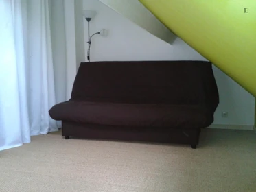 Room for rent in a shared flat in Lille