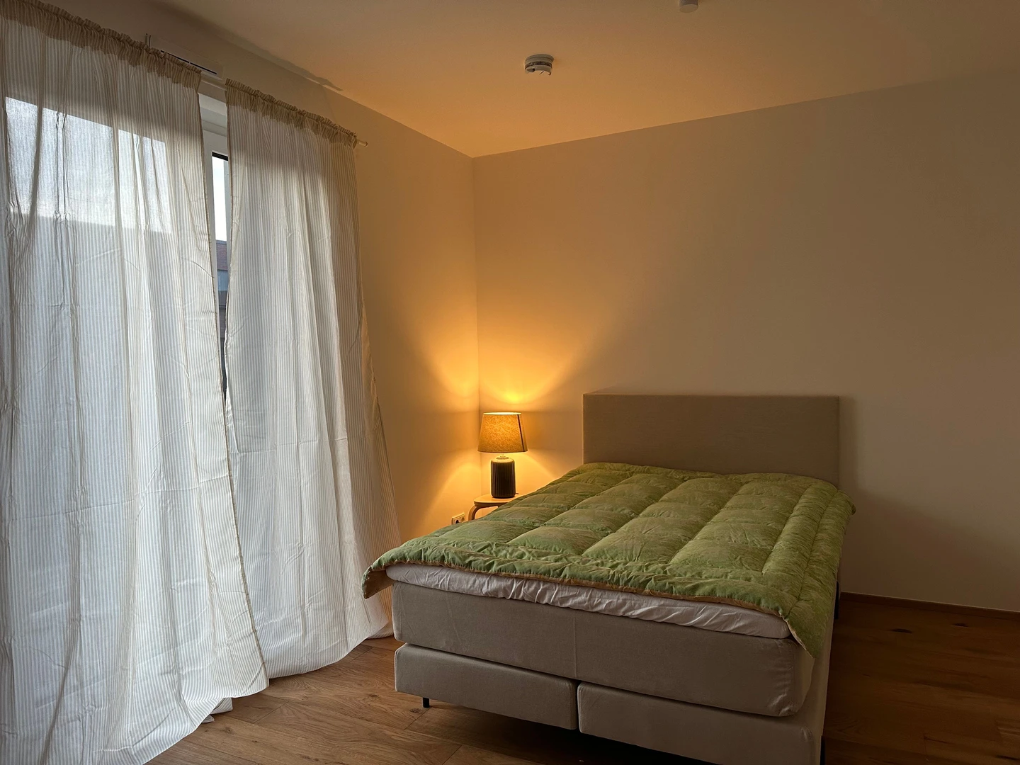 Bright private room in Mainz