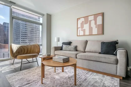 Entire place at East Illinois Street, Streeterville, image 1 of 10