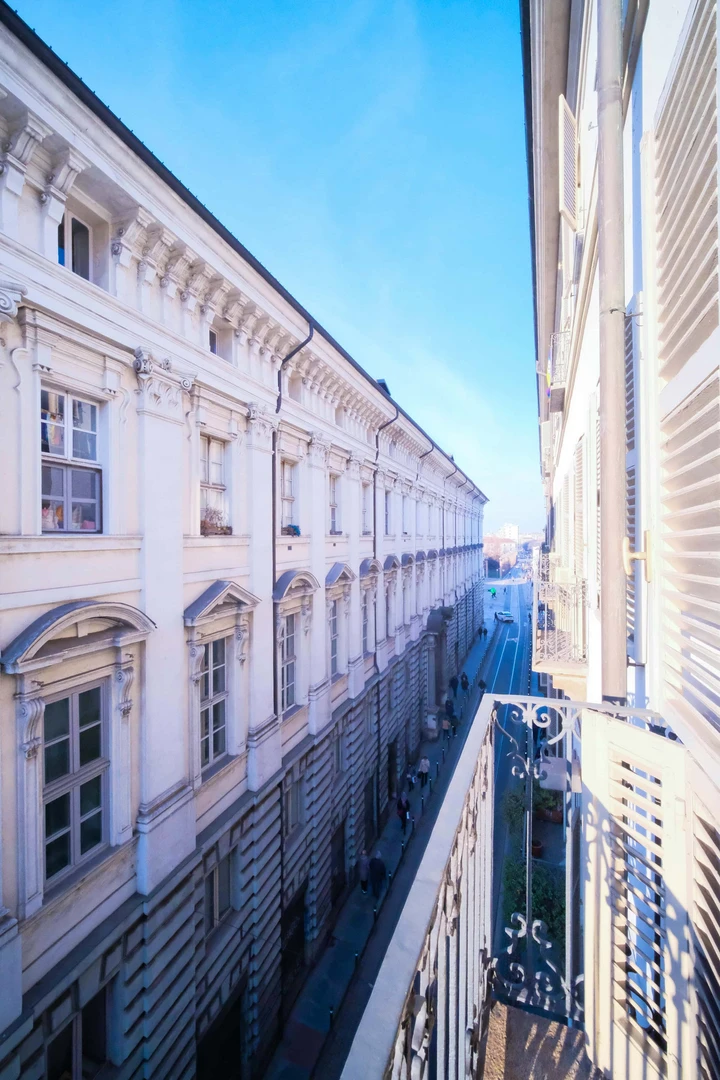 Torino de kiralık çok aydınlık paylaşımlı oda