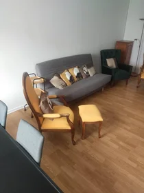 Prywatny pokój Lyon, 69008, obraz 1 10