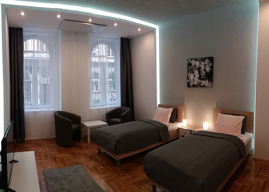 Alojamento com 2 quartos em Budapeste