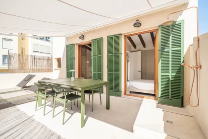 Entire apartment at Carrer de Contestí, Ponent, image 1 of 10