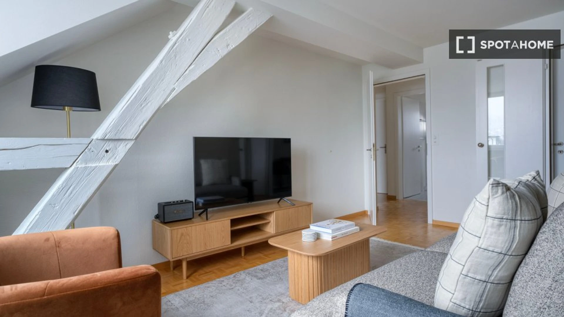 Moderne und helle Wohnung in Zurich