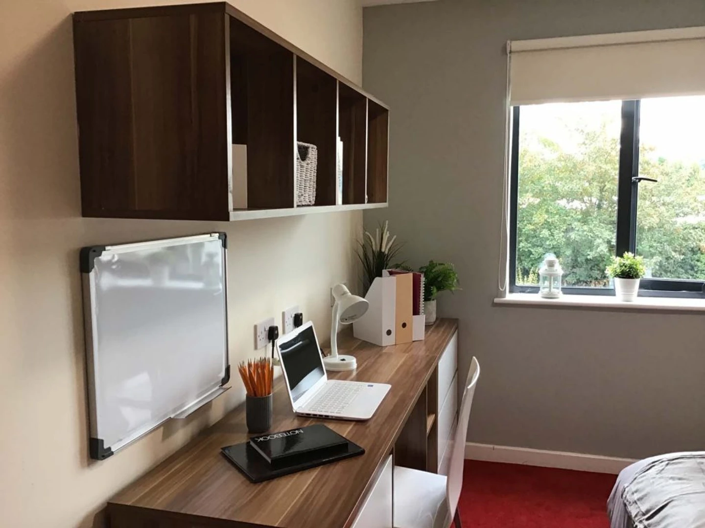 Room for rent in a shared flat in Canterbury
