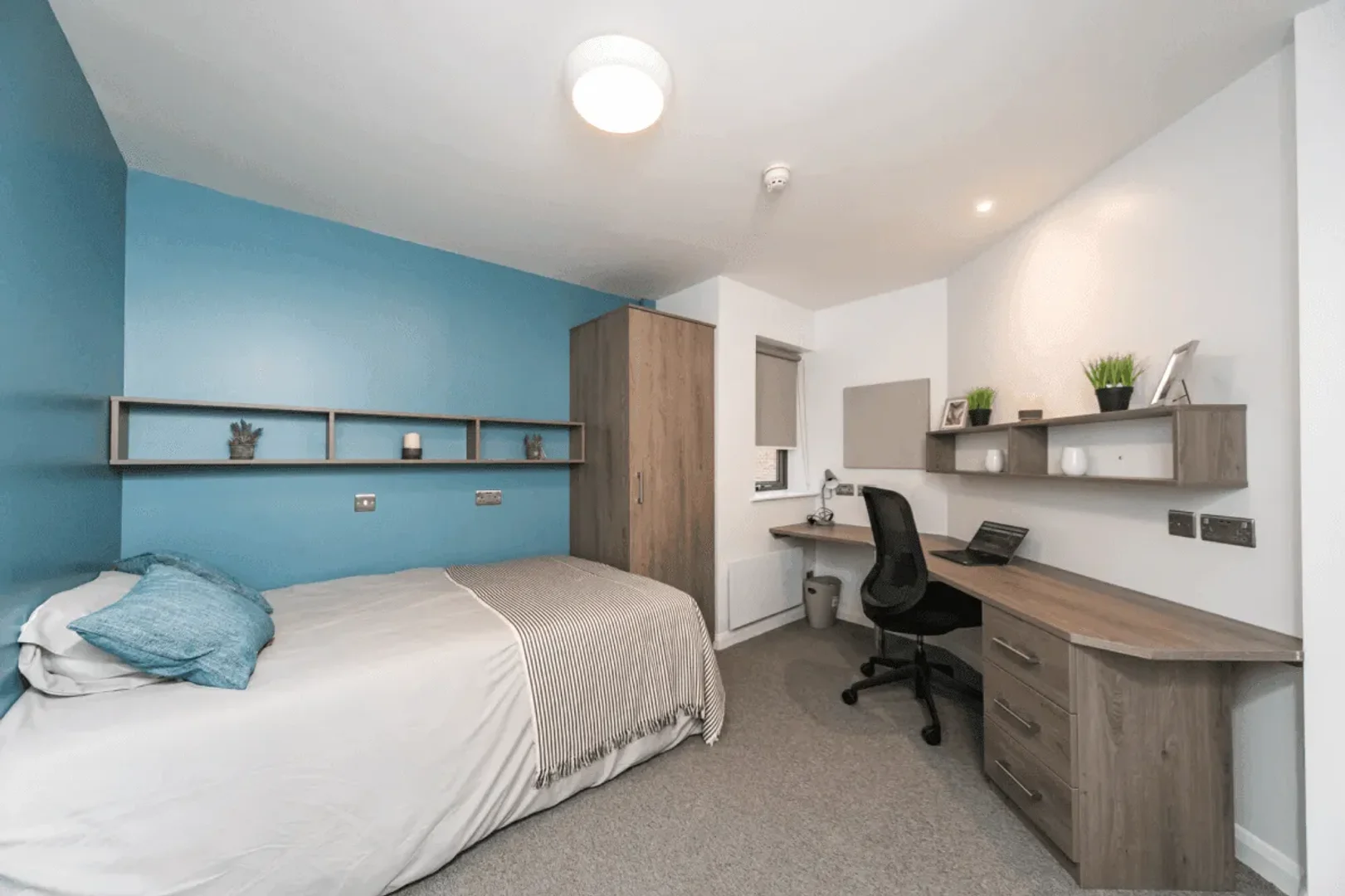 Przytulny pokój dla studentów dostępny w 