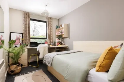 Bright private room in Sheffield