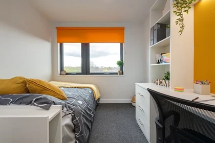 Room for rent in a shared flat in Exeter
