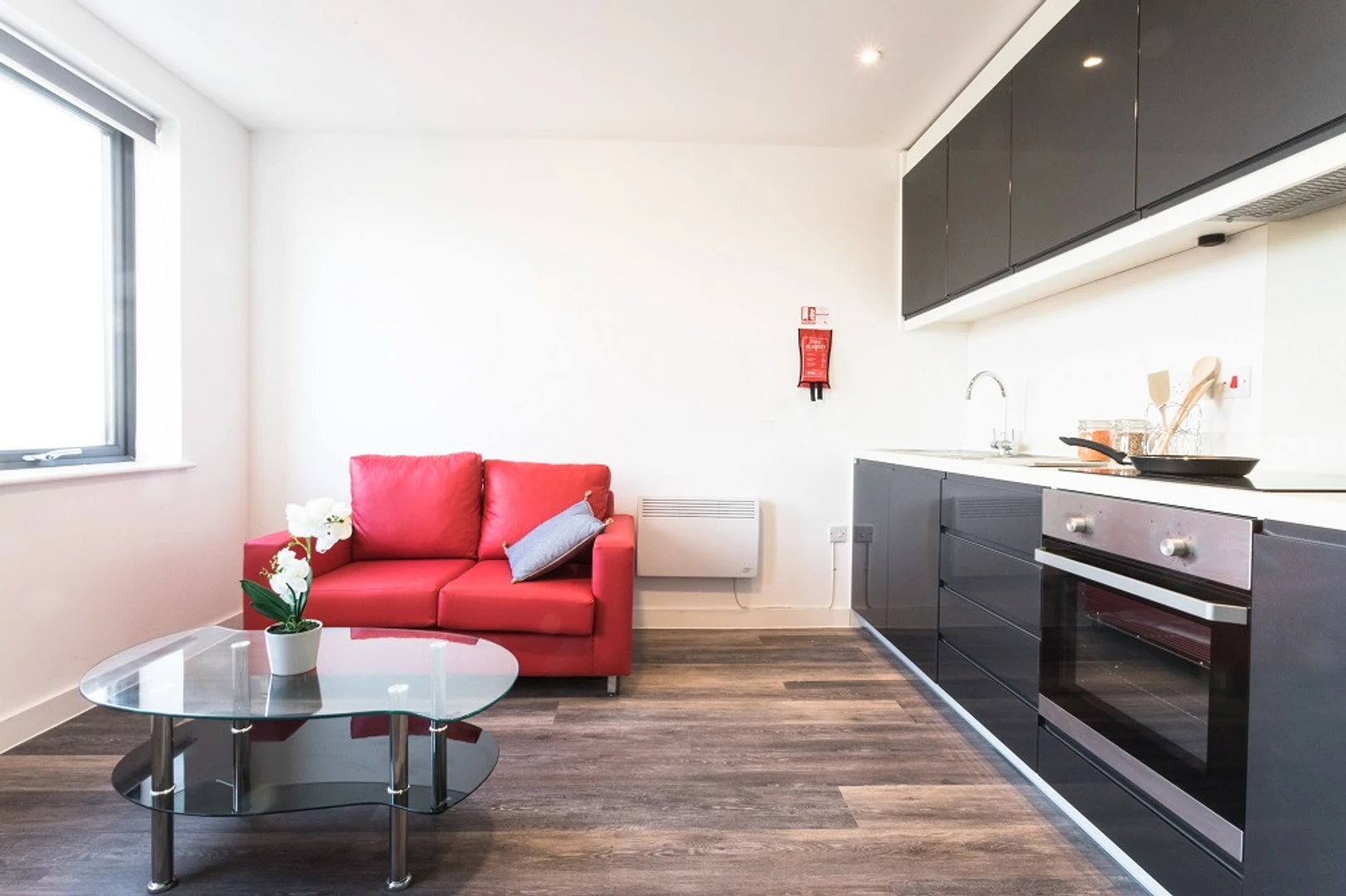 Luminoso e moderno appartamento a Cardiff