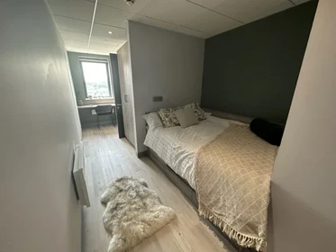 Alquiler de habitaciones por meses en Swansea