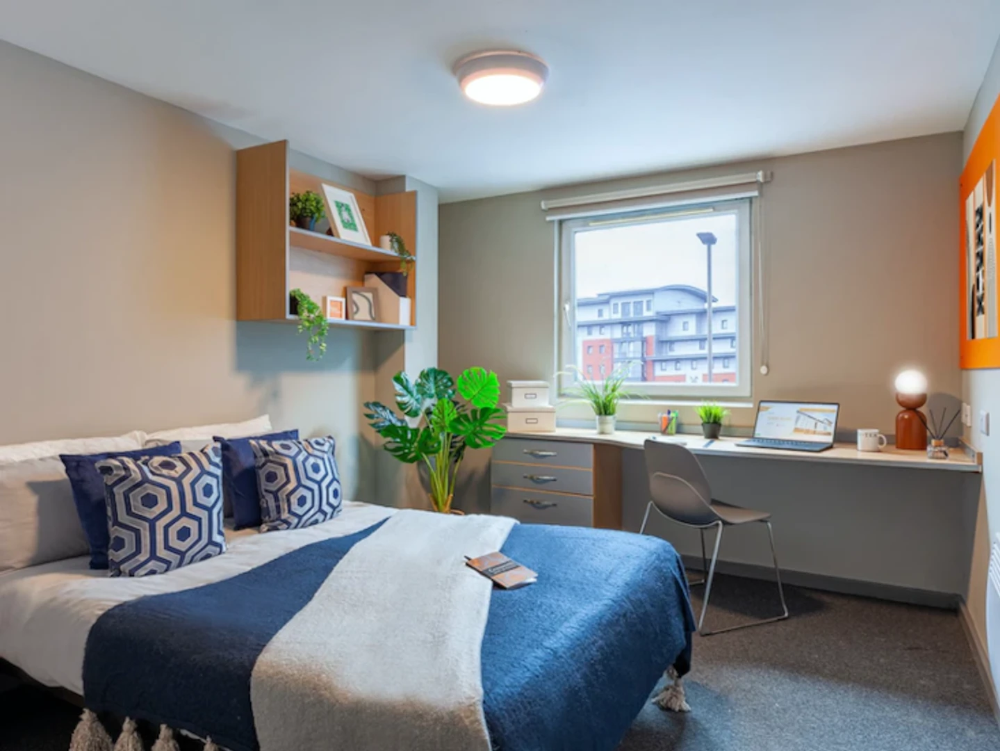 Chambre à louer dans un appartement en colocation à Leicester