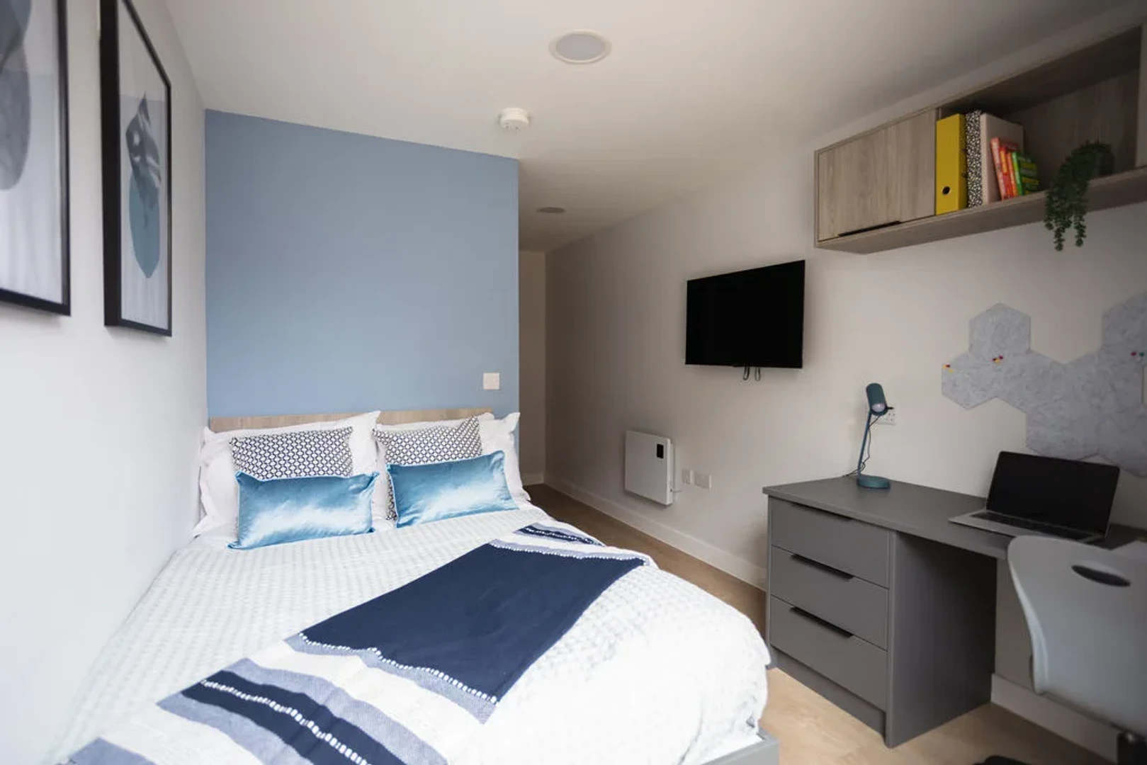 Renting rooms by the month in exeter