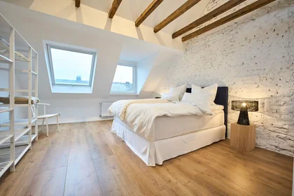 Appartamento intero in Krausstraße, Stadtbezirke III, immagine 1 di 10