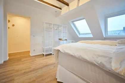 Appartamento intero in Krausstraße, Stadtbezirke III, immagine 2 di 10