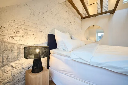 Appartamento intero in Krausstraße, Stadtbezirke III, immagine 3 di 10