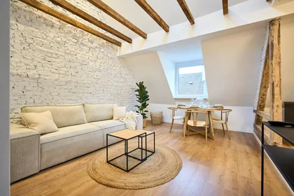 Appartamento intero in Krausstraße, Stadtbezirke III, immagine 4 di 10