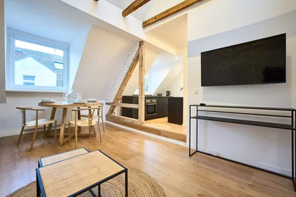 Appartamento intero in Krausstraße, Stadtbezirke III, immagine 6 di 10