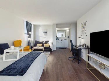 Chambre à louer dans un appartement en colocation à Halifax