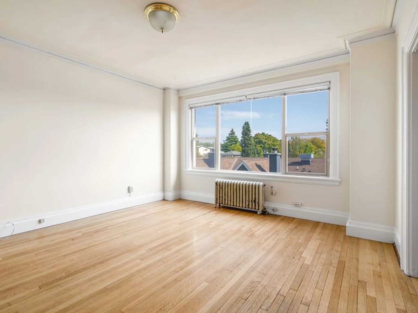 Very bright studio for rent in Seattle
