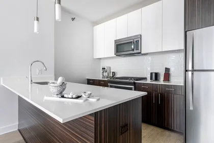 Dairenin tamamı konumu North Garland Court, Chicago Loop, 6 10 görüntüsü