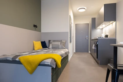Stylowe mieszkanie typu studio w Graz