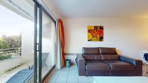 Logement entier à Boulevard Joffre, Vieille Ville, image 3 de 10