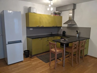 Apartamento entero totalmente amueblado  en Brno