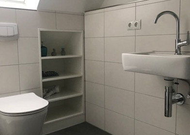 Very bright studio for rent in Münster
