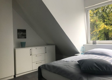 Very bright studio for rent in Münster