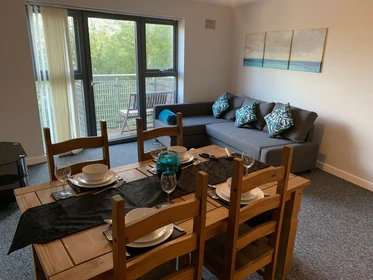 Moderne und helle Wohnung in Sheffield