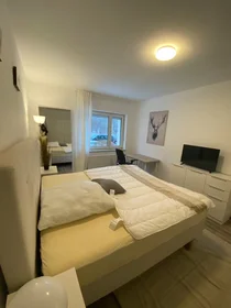 Chambre privée à Colmarer Straße, Thalkirchen, image 5 de 8