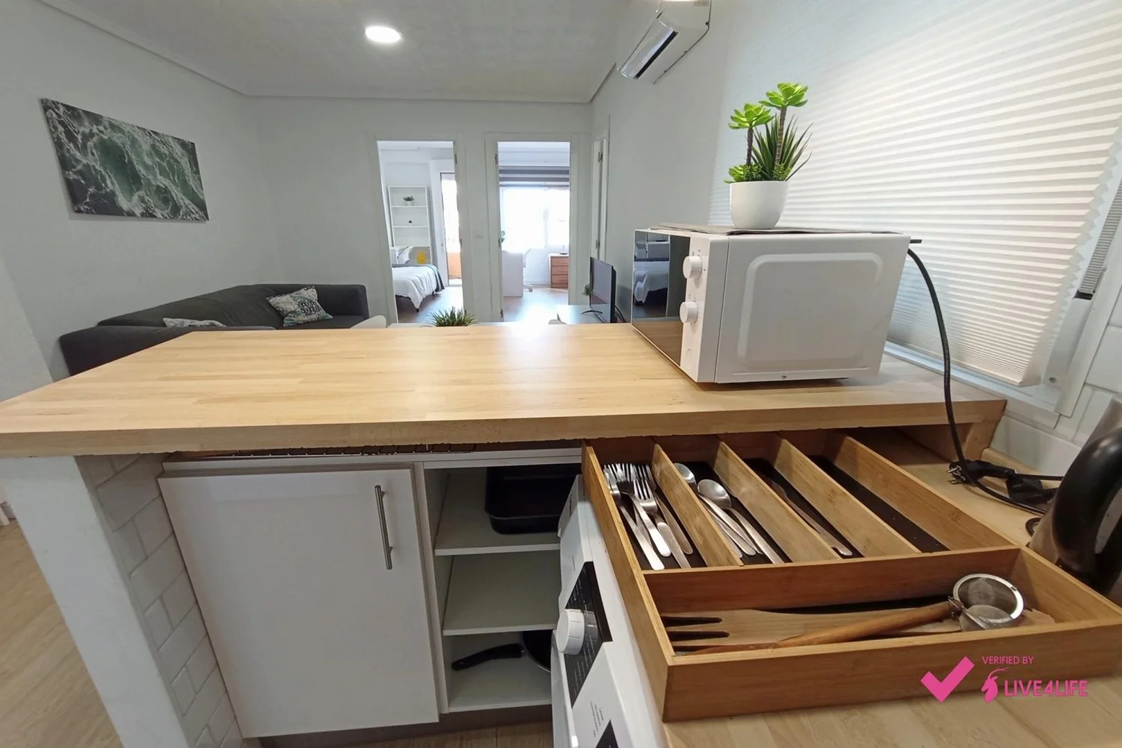 Affordable room for students with ample lighting in